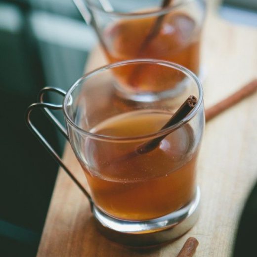 cinnamon fly