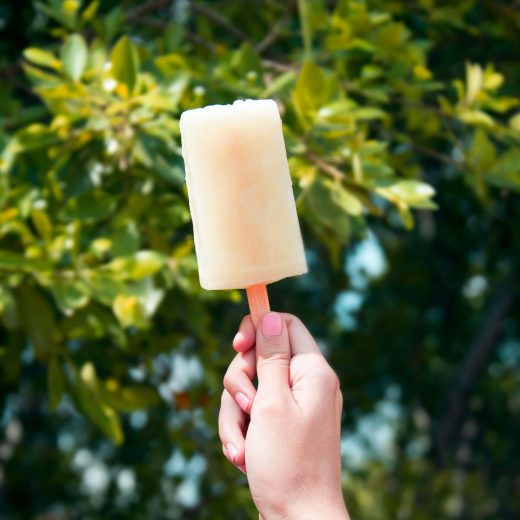 Hand holding up a popcicle