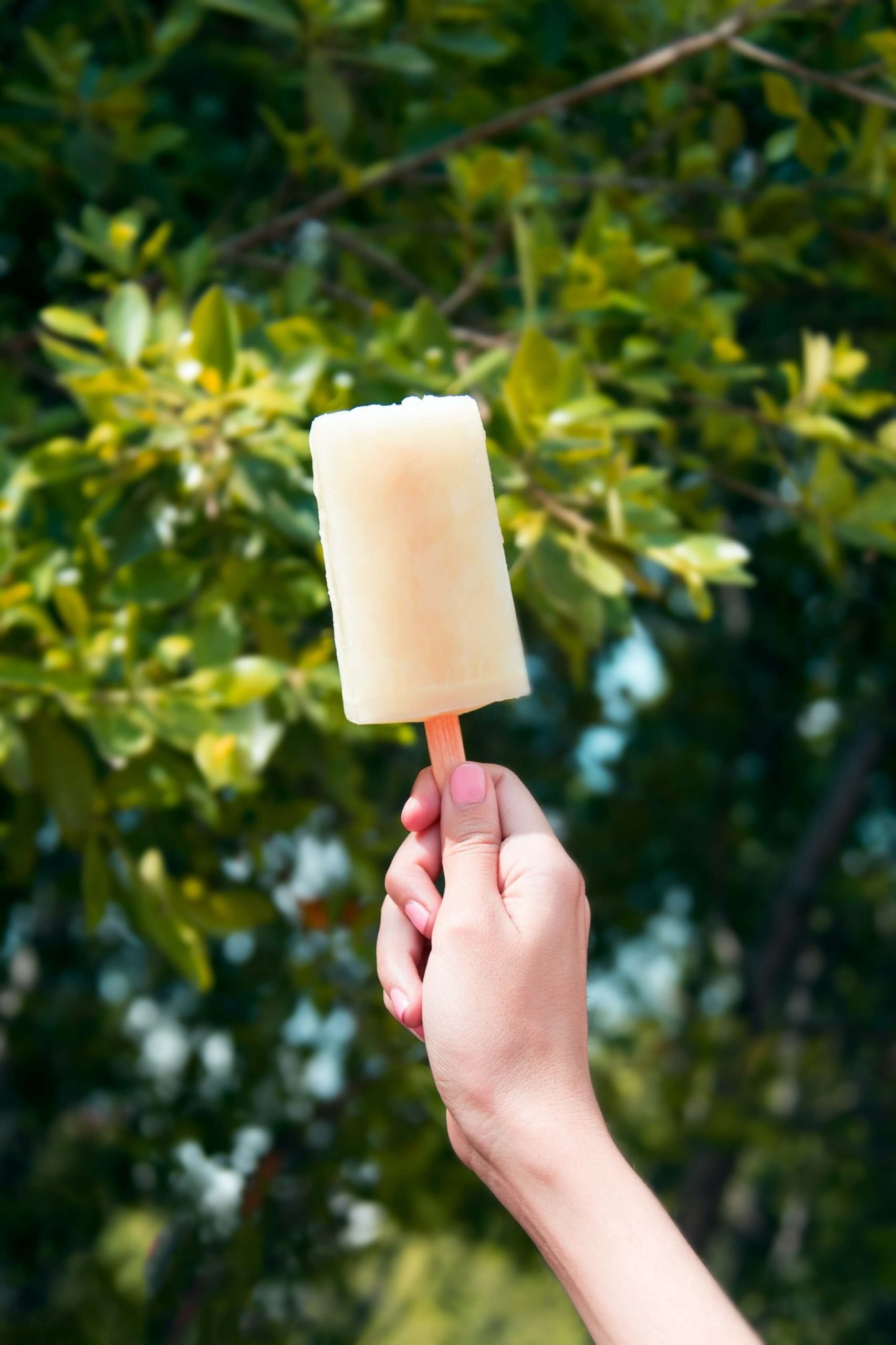 Hand holding up a popcicle